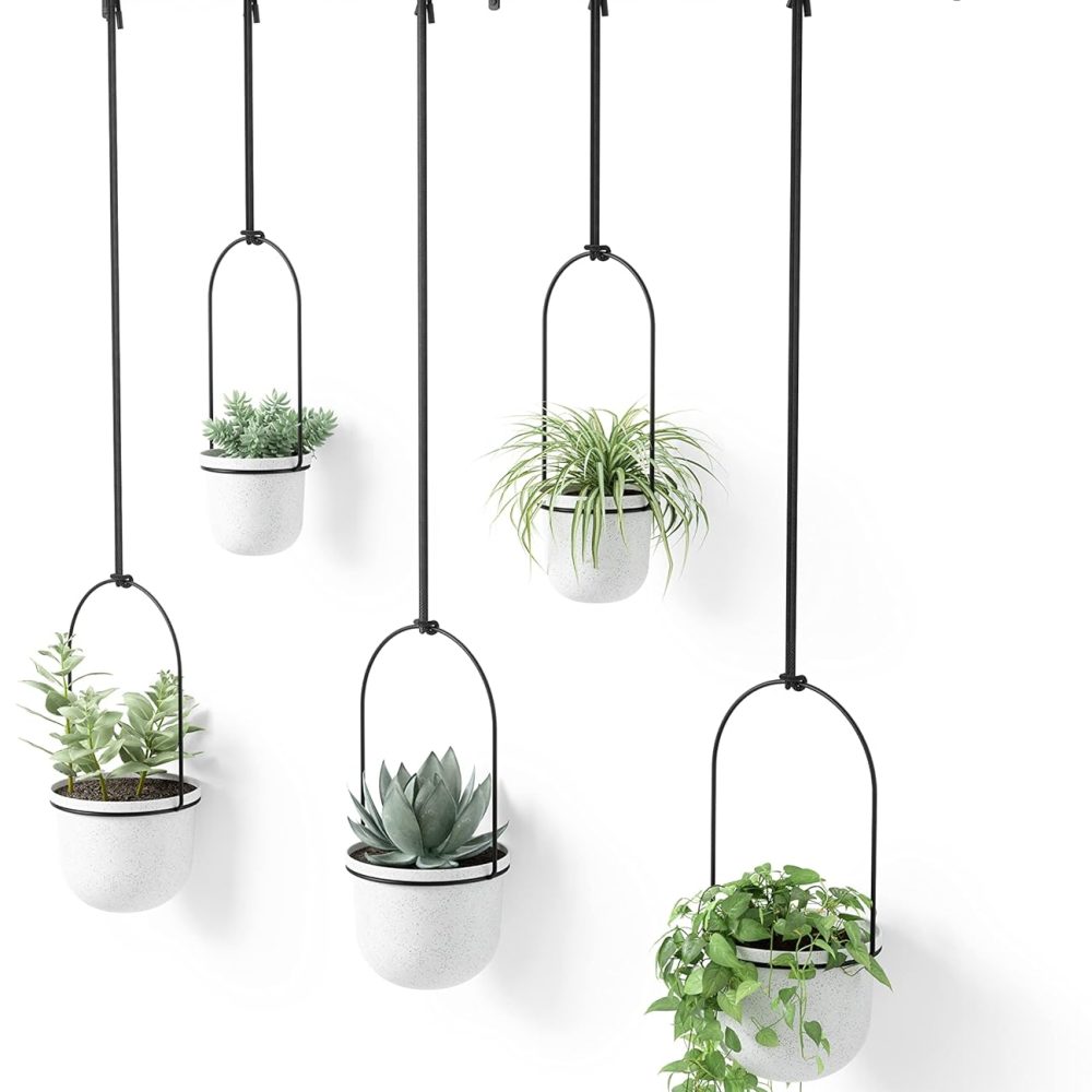 Umbra Triflora Hanging Planter for Window, Indoor Herb Garden, Set of 5, White/Black
